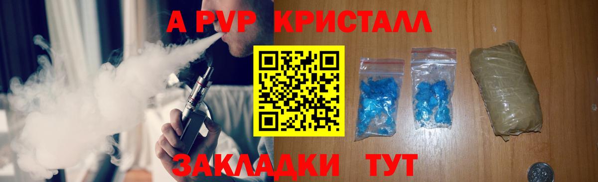 A PVP СК КРИС Волхов