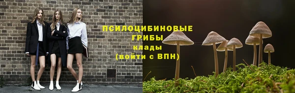 стаф Снежногорск