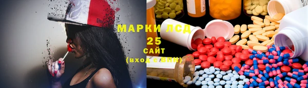 стаф Алзамай
