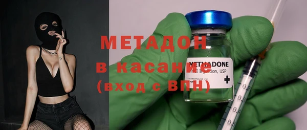 стаф Алзамай