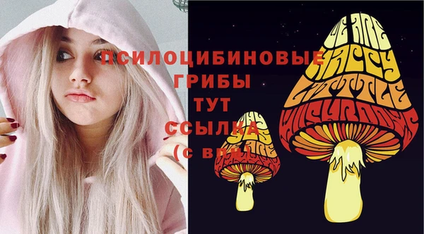 стаф Алзамай