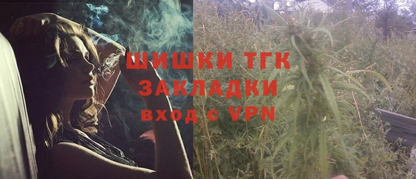 ПСИЛОЦИБИНОВЫЕ ГРИБЫ Алексин