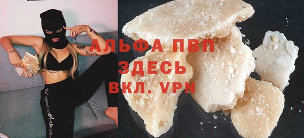 стаф Алзамай