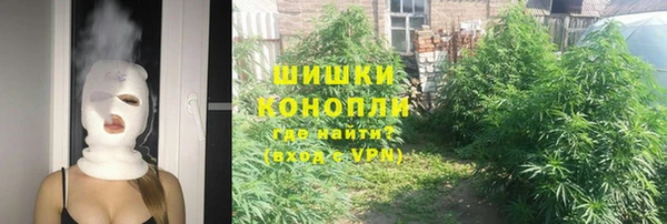 стаф Алзамай
