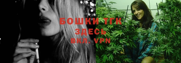 индика Алексеевка