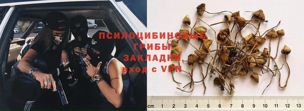 индика Алексеевка